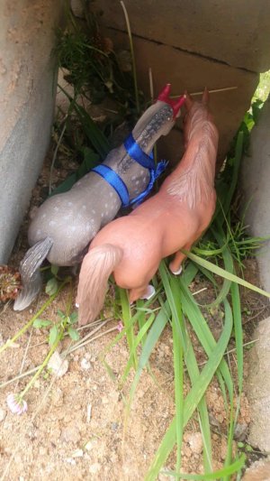 туториал на костюм шамаханской царицы