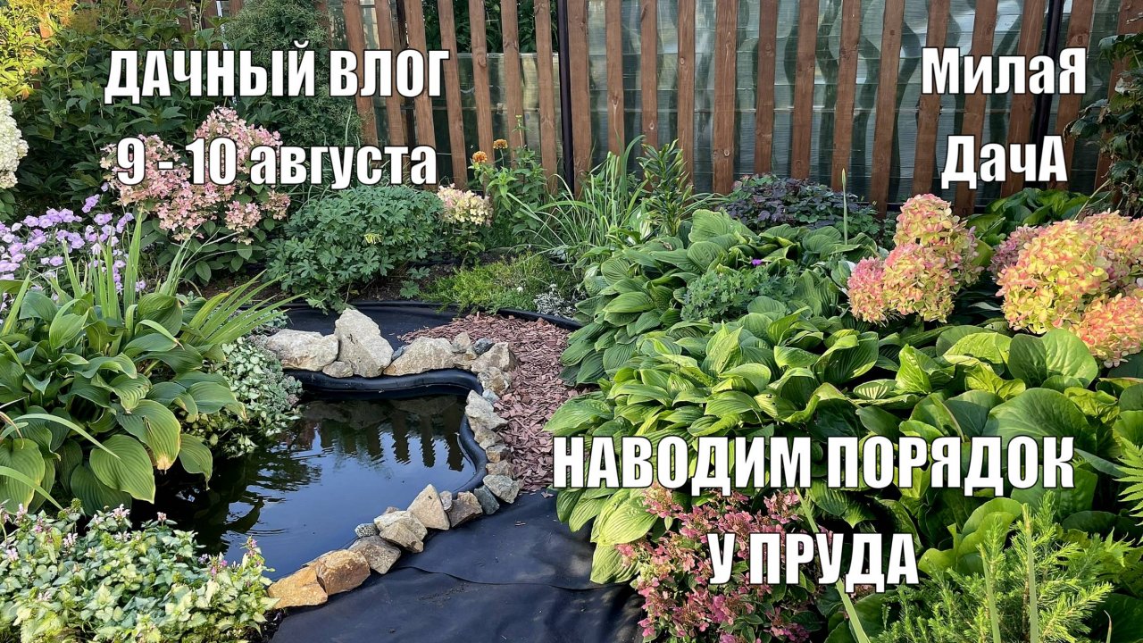 Наводим порядок за теплицей и у пруда | Удалили больной миндаль| Дачный влог 9 - 10 августа