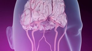 6 верных признаков инсульта. Что нужно делать, чтобы спасти человека