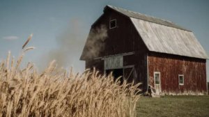 Реквием по колхозной деревне. Поёт Александр Щепалин