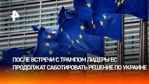 "Вместо мира – блицкриг": лидеры ЕС продолжат саботировать решение по Украине