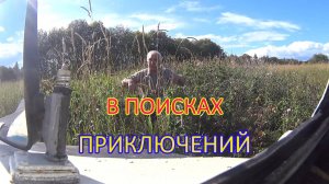 На Снегоболотоходе катаюсь по полям. Смотрите что нашел.
