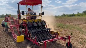 Уборка чеснока китайским комбайном за рулем Кувайцев Павел Сергеевич - руководитель АгроИнвестРФ