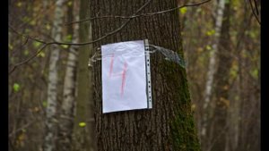 Праздник Михаила 2017