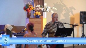 У дороги лилия цвела (VAS-1517)