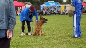 9 Отл. De Orse Mak Flai VOLAND DE MORT +++ №77. Главная выставка немецких овчарок России 2025