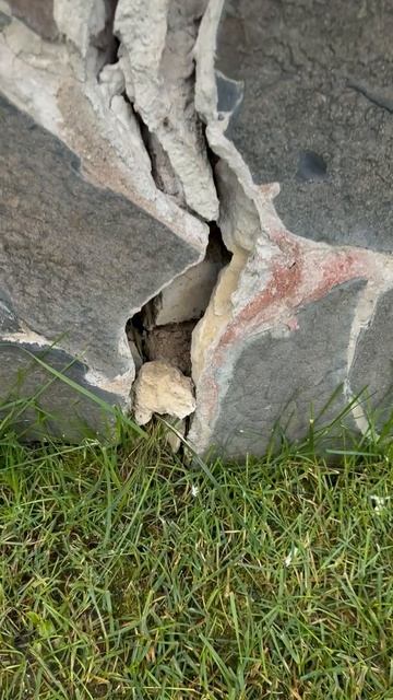 забор смотреть онлайн