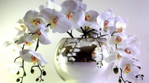 Восхитительные ВЕСЫ. 💎✨🎀 Ваш таро-прогноз на сентябрь 2025 года. ⭐⭐⭐Коридор затмений.