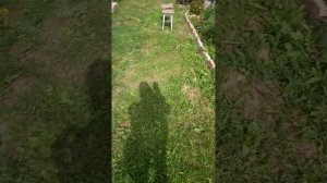 #AGAVI #music #вмоменте #simple #live #love #life #trending #top #funny #comedy #video #музыка