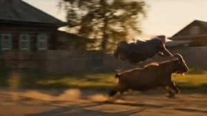 БАБУШКА НЕЙРОСЕТЬ КАТАЕЬСЯ НА КОЗЛЕ прикол