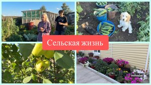 С ПОМОЩНИКАМИ в ОГОРОДЕ. Простой ДЕРЕВЕНСКИЙ ужин.