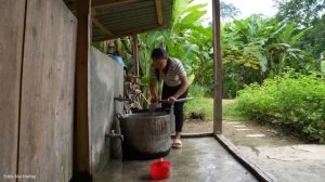 Harvesting Lemons to Sell at the Market - Cooking Food to Reserve For Pigs | Trieu Mai Huong.