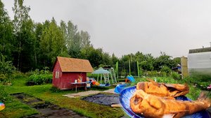 Долгожданный дождик, кормим уток, ловим рыбку, коптим судака