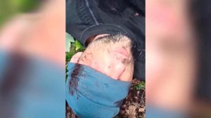 ФСБ: в Брянской области задержаны диверсанты, подготовленные спецслужбами Запада