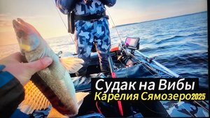Карелия Август 2025 , Сямозеро , Ловим на вибы и ратлины судака,окуня ,щуку. Рыбалка в Карелии .