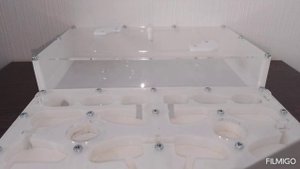 как устроен формикарий и как заселять муравьев