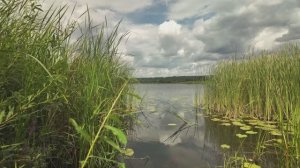 DJI AVATA 2 - Река