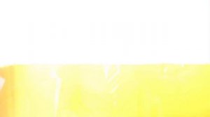 Первый день IFCO подошёл к вдохновляющему завершению