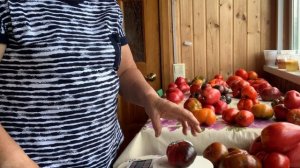 IMG_8898 Томаты на весах. Отвечаю на вопросы.