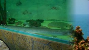 Анапа. Путешествие по Анапе, продолжение