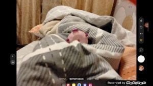 Резиновые Смешарики первый сезон первая серия