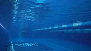 Техника баттерфляя.