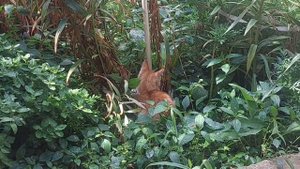 вышивка и не только в июле 2025 г.