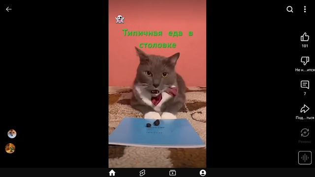 эээбебебебк смотреть онлайн