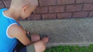 Демоническая улитка!