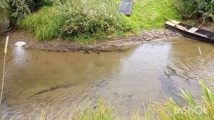 18 августа 2025 года.Жизнь в деревне.