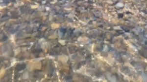 обзор на квартиру мы на море с Кэнди и Лизой и в парке очень нравится