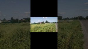 А это живность 🦔🐎🐮моей деревни🤭😲😅