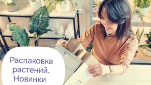 Распаковка растений
