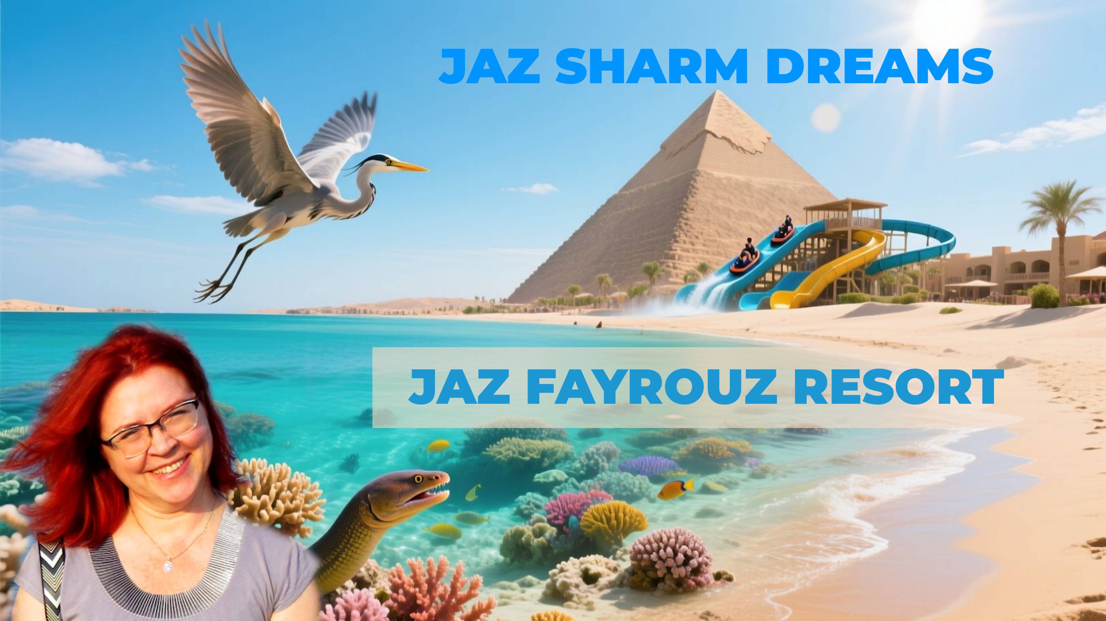 Обзор отелей Jaz Sharm Dreams & Jaz Fayrouz Resort