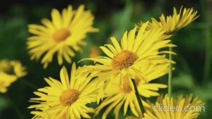 Рано или поздно.