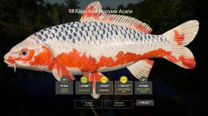 СУПЕР РАЗДАЧА КОИ НА МЕДНОМ И МЕГА ФАРМ НА МОРЕ В РУССКОЙ РЫБАЛКЕ 4 РР4