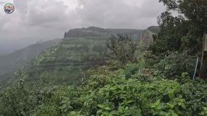 Наташа Замуж в Индию - ТЫ ЗДЕСЬ НИЧЕГО НЕ РЕШАЕШЬ Нашей судьбой управляет астролог