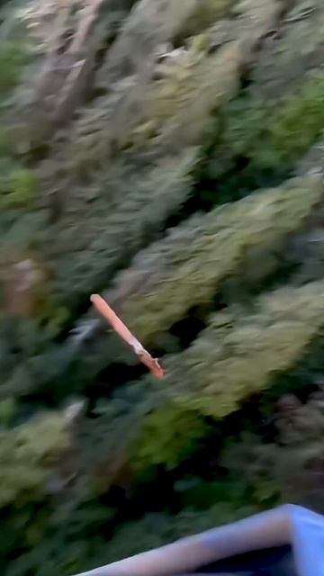 Вот это бросок… смотреть онлайн