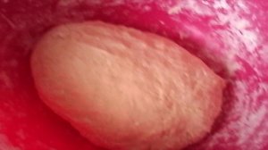 Жареные пирожки с рыбой