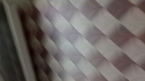 зоологический музей 4 серия