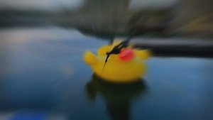 Дайвинг в России. Карьер Лазурный.