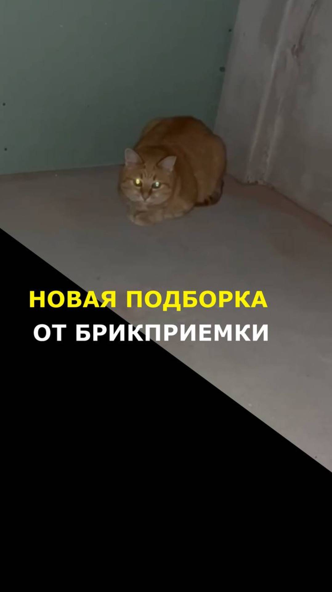 Новая подборка от Брикприёмки