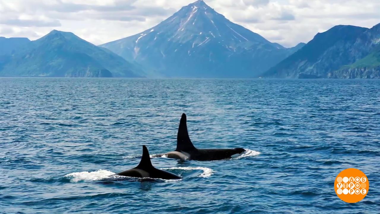 Горячий спрос на холодный туризм. Доброе утро. Фрагмент выпуска от 20.08.2025