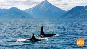 Горячий спрос на холодный туризм. Доброе утро. Фрагмент выпуска от 20.08.2025