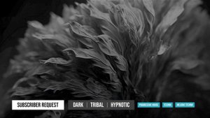 Dark, Tribal, Hypnotic Progressive & Techno - Subscriber Request