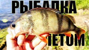 РЫБАЛКА на СПИННИНГ TELETEN 125 - УДАЛАСЬ на СЛАВУ!