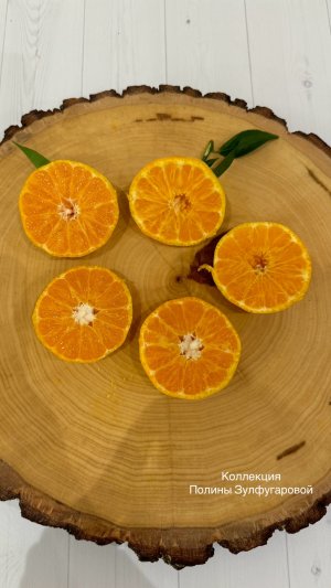 Клементин Спинозо 🍊