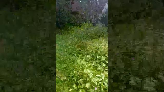 20-08-2025 смотреть онлайн