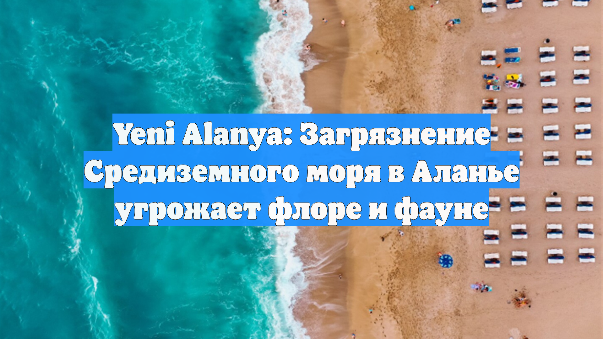 Yeni Alanya: Загрязнение Средиземного моря в Аланье угрожает флоре и фауне