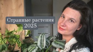 Странные растения сезона 2025